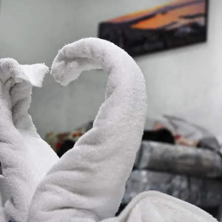 Viva 住宿加早餐酒店 3*